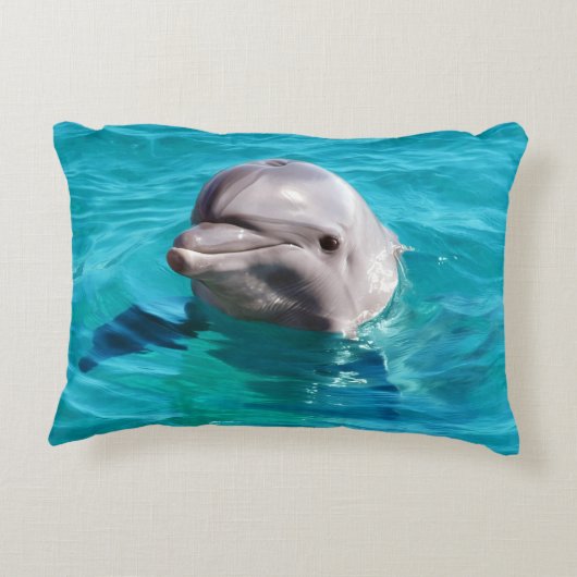 青海原の写真のイルカ アクセントクッション (裏面)