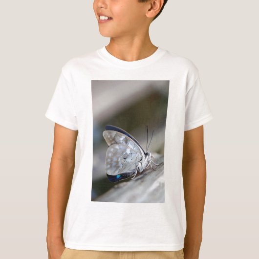青灰色の蝶 Tシャツ (正面)