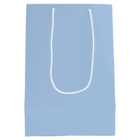 青無地のフランスの抱き枕 ミディアムペーパーバッグ (裏面)