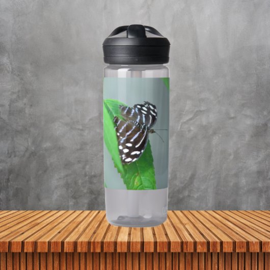 青王室のい蝶の写真 ウォーターボトル