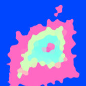 青王室のとサーモンピンクのアートパターン クッション