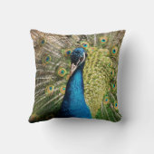 青王室の孔雀 クッション (裏面)