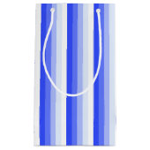 青王室の色のシャストライプドウ スモールペーパーバッグ (正面)