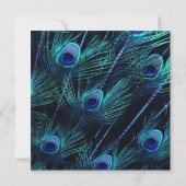 青王室の銀インディアン王室のピーコッ結婚ク 招待状 (裏面)