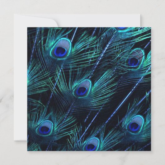 青王室の銀インディアン王室のピーコッ結婚ク 招待状 (裏面)