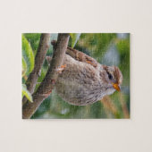 青白い冠を持つ雀 ジグソーパズル (横)