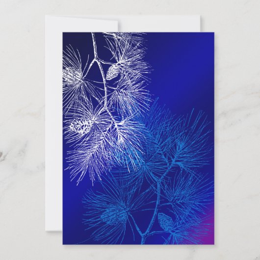 青白い冬の松 (正面)