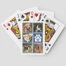 青白い犬の足のペット写真集