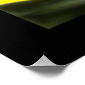 青白い ポスター (角)