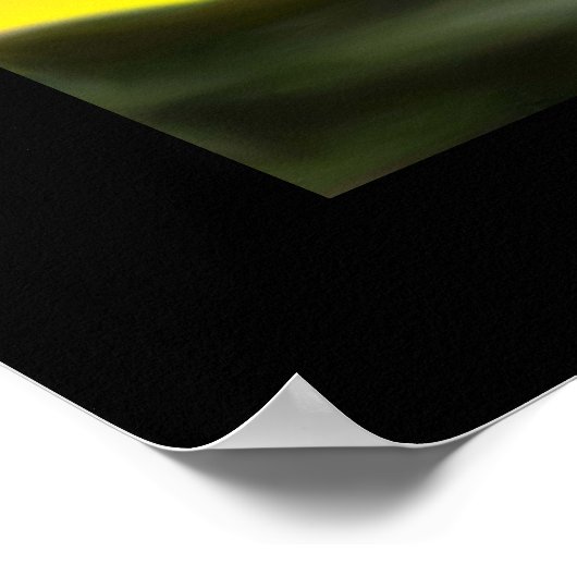 青白い ポスター (角)