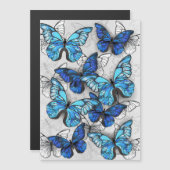 青白の蝶の構成 (正面/裏面)