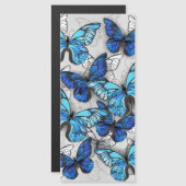 青白の蝶の構成 (正面/裏面)