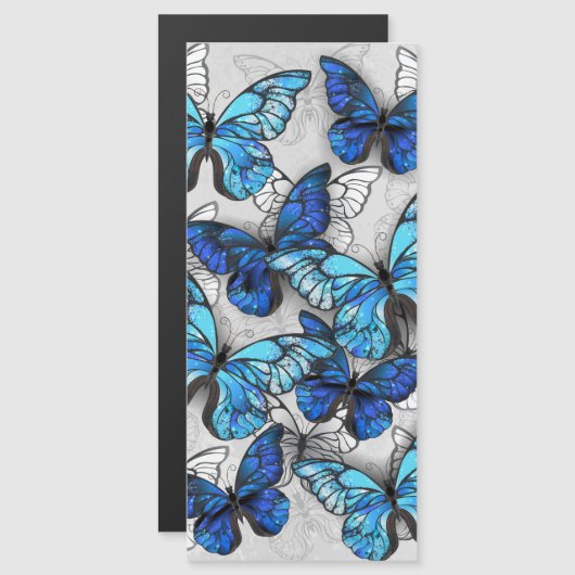 青白の蝶の構成 (正面/裏面)