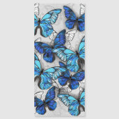 青白の蝶の構成 (正面)