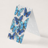 青白の蝶の構成 (正面)