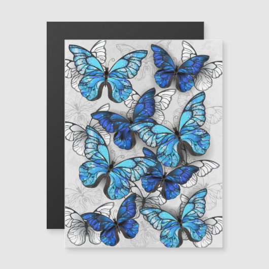 青白の蝶の構成 (正面/裏面)