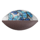 青白の蝶の構成 アメリカンフットボール (回転90)