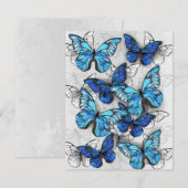 青白の蝶の構成 エンクロージャーカード (正面/裏面)