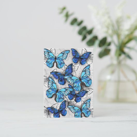 青白の蝶の構成 エンクロージャーカード (スタンド正面)