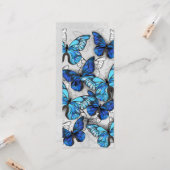 青白の蝶の構成 カード (正面/裏面インサイチュ)