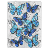 青白の蝶の構成 クリップボード (裏面)