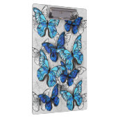 青白の蝶の構成 クリップボード (右)