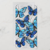 青白の蝶の構成 サンキューカード (正面/裏面)