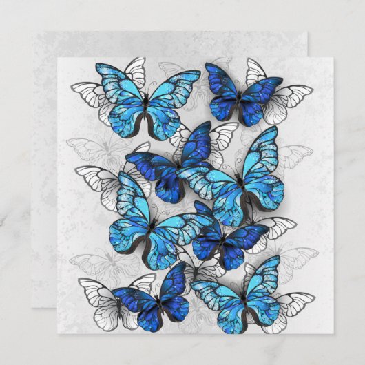 青白の蝶の構成 サンキューカード (正面/裏面)