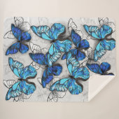 青白の蝶の構成 シェルパブランケット (正面(横))