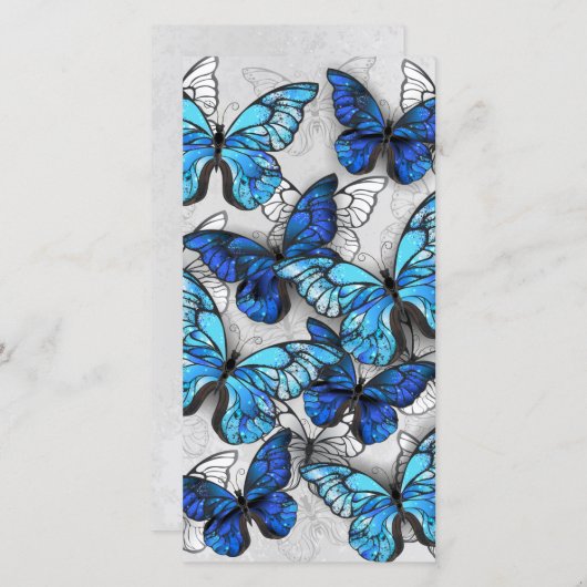 青白の蝶の構成 セーブザデート (正面/裏面)