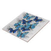 青白の蝶の構成 タイル (側面)