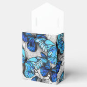 青白の蝶の構成 フェイバーボックス (オープン)