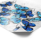 青白の蝶の構成 フォトプリント            (角)