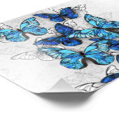青白の蝶の構成 フォトプリント            (角)
