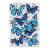 青白の蝶の構成 フォトプリント            (正面)