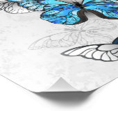 青白の蝶の構成 フォトプリント            (角)