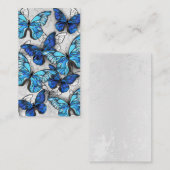 青白の蝶の構成 プレイスカード (正面/裏面)