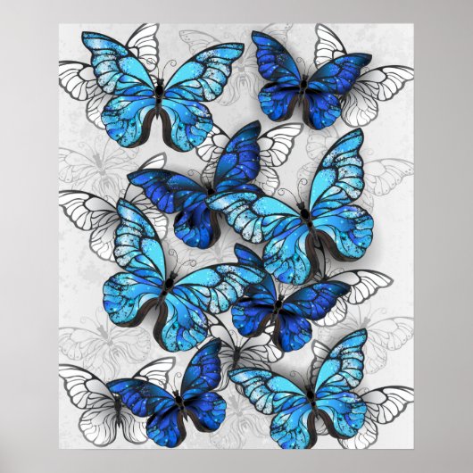 青白の蝶の構成 ポスター (正面)