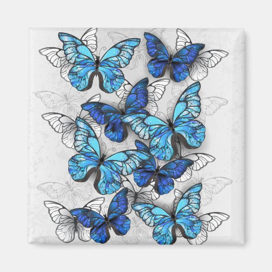 青白の蝶の構成 マグネット (正面)