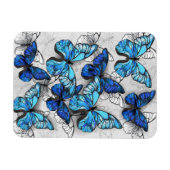 青白の蝶の構成 マグネット (横)