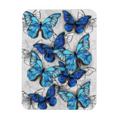 青白の蝶の構成 マグネット (縦)