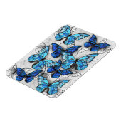 青白の蝶の構成 マグネット (左側)