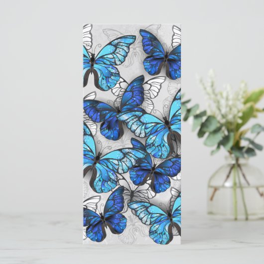 青白の蝶の構成 メニュー (スタンド正面)