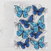 青白の蝶の構成 メニュー (正面/裏面)