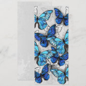 青白の蝶の構成 メニュー (正面/裏面)