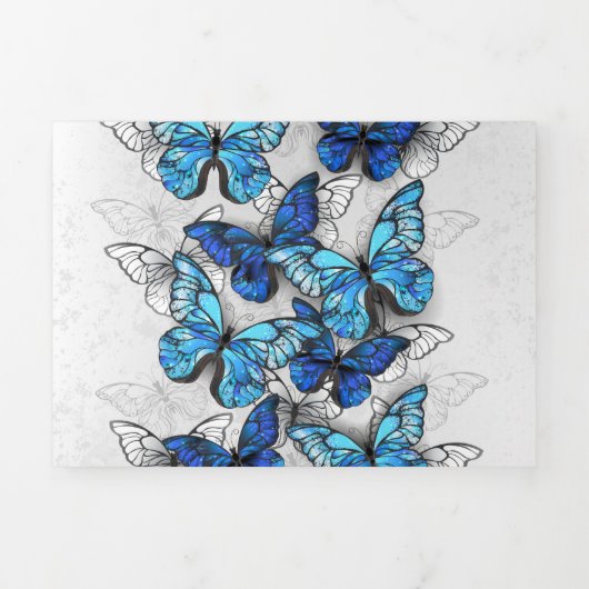青白の蝶の構成 三つ折り案内状 (カバー)