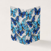 青白の蝶の構成 名刺 (外部)