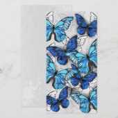 青白の蝶の構成 案内状 (正面/裏面)