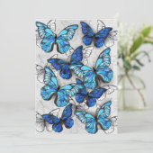 青白の蝶の構成 案内状 (スタンド正面)