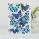 青白の蝶の構成 案内状 (スタンド正面)